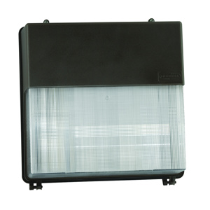 Current Lighting PVL PERIMALITER Replacement Lens Polycarbonate