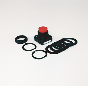 800H-BR6A4 SWITCH PUSHBUTTON 60